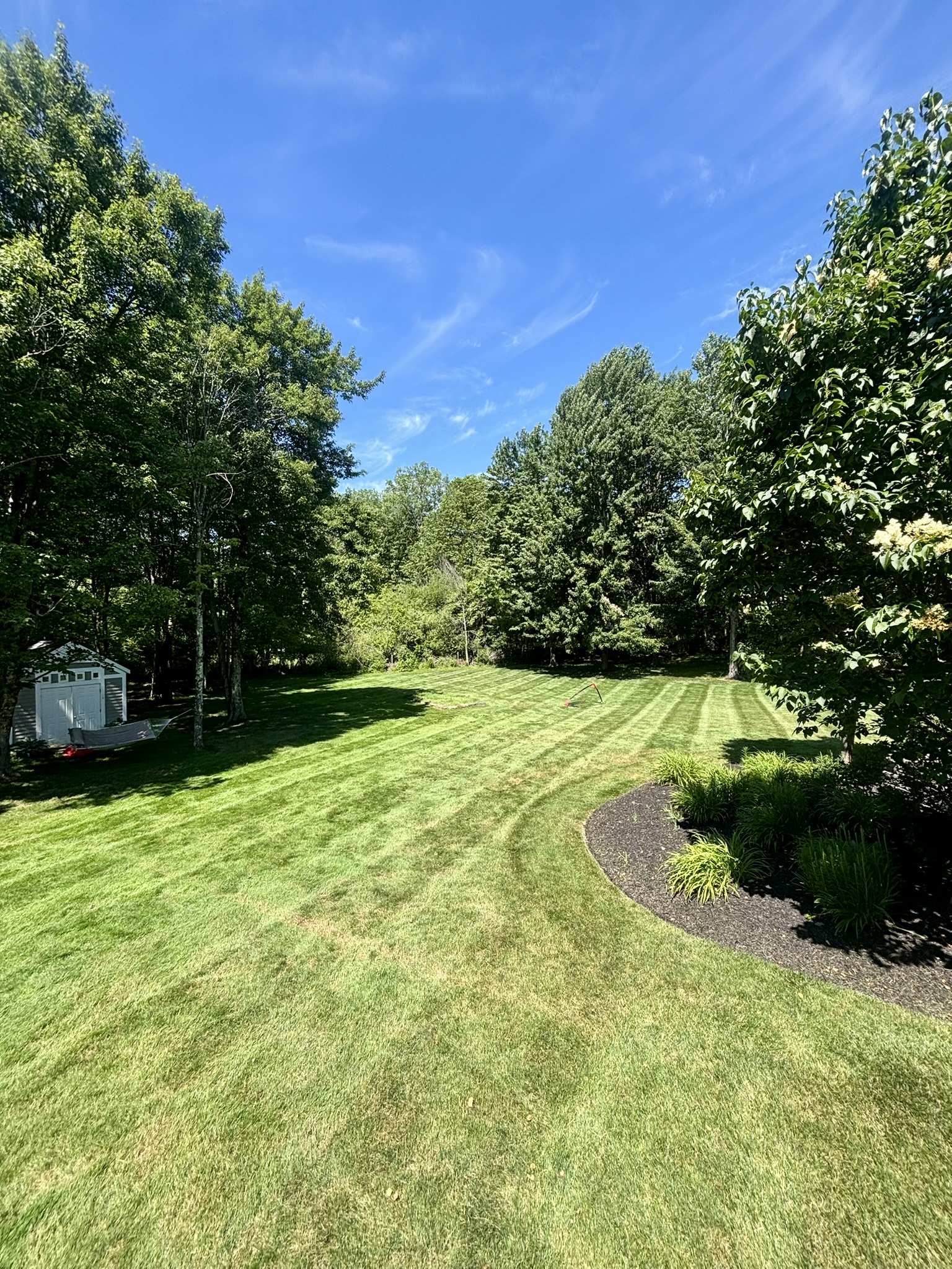 Manicured backyard lawn with a curved mulch border and mature trees