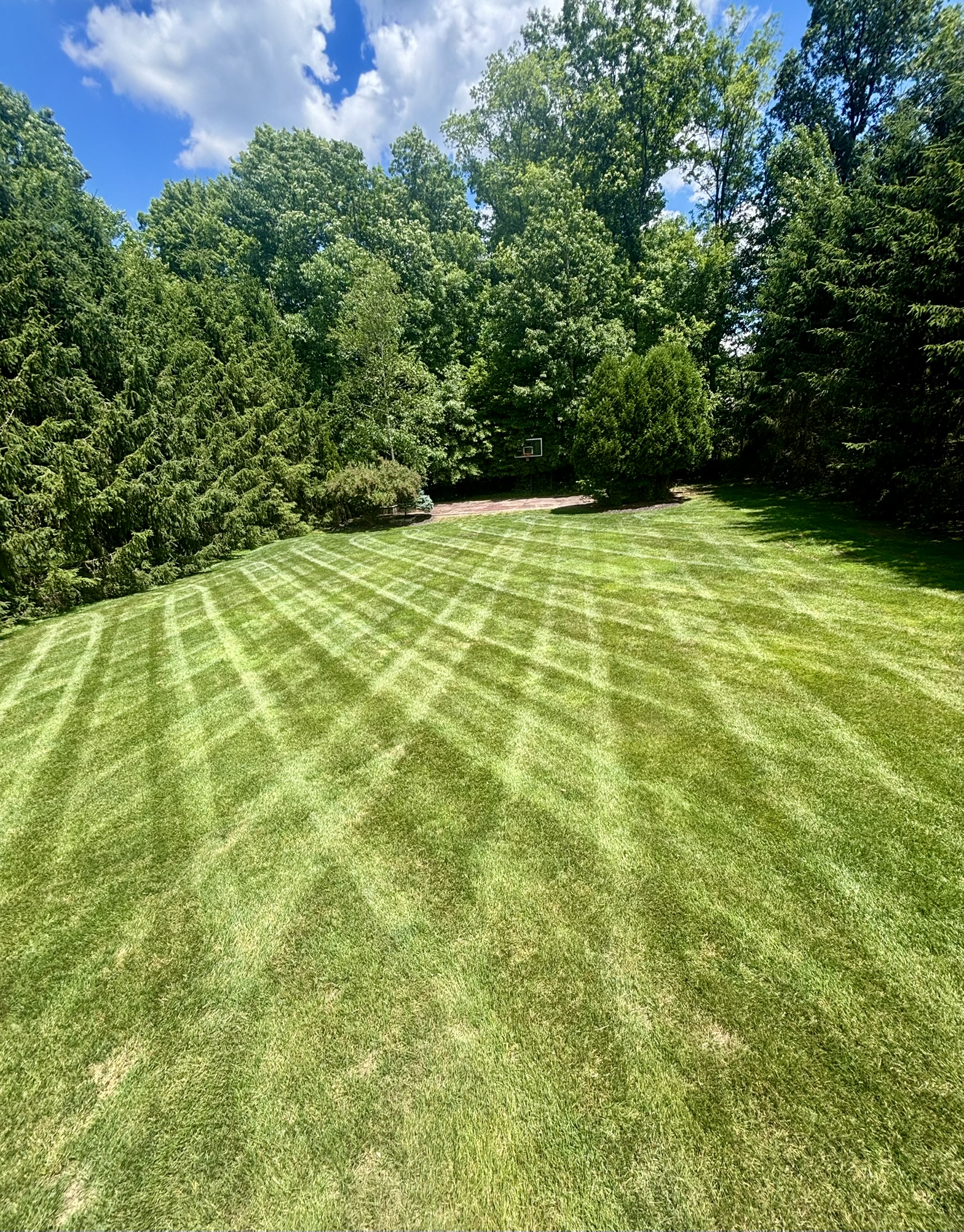 Freshly striped lawn framed by a wooded tree line