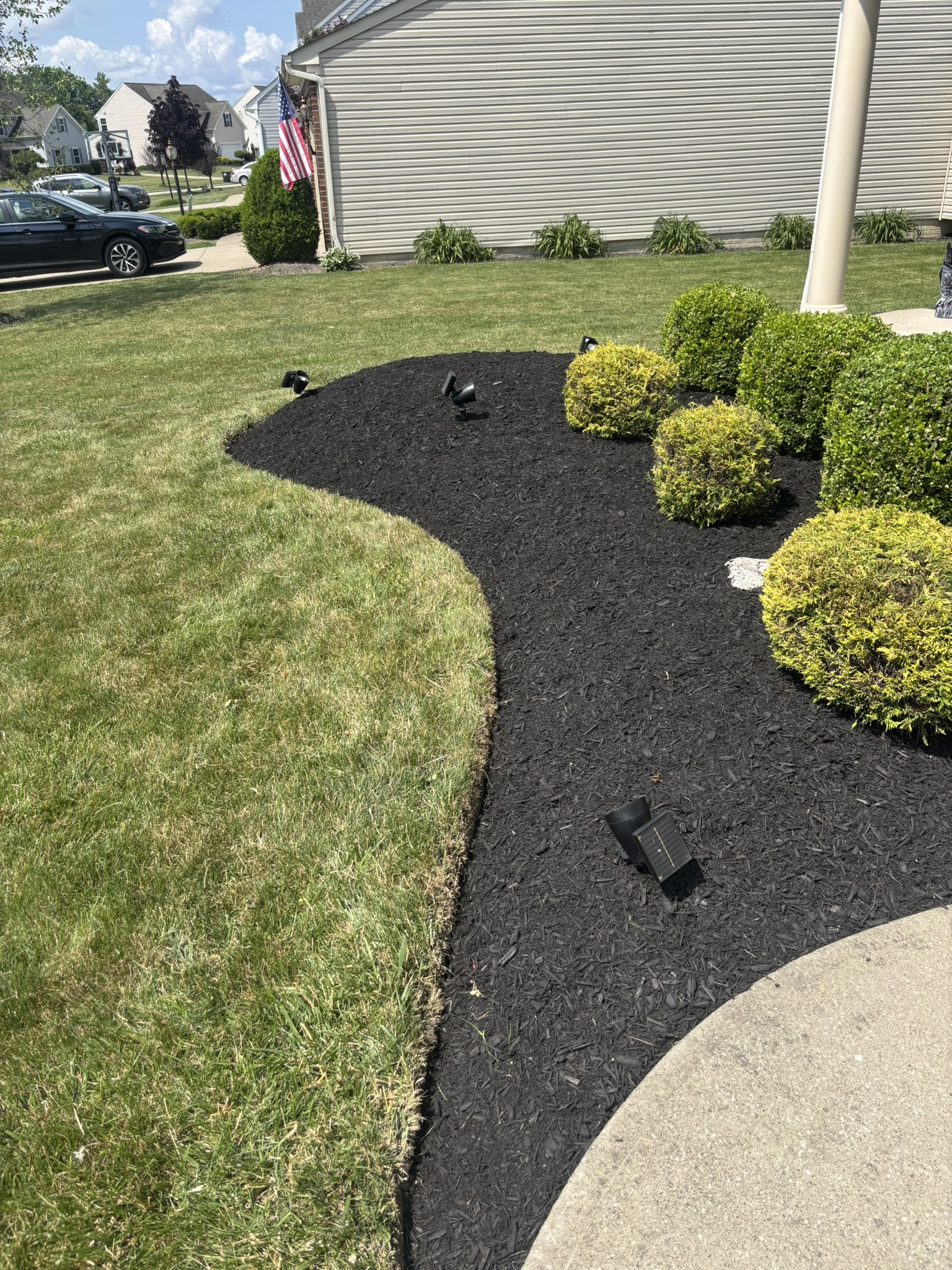 Curved mulch bed with fresh shrubs along a walkway
