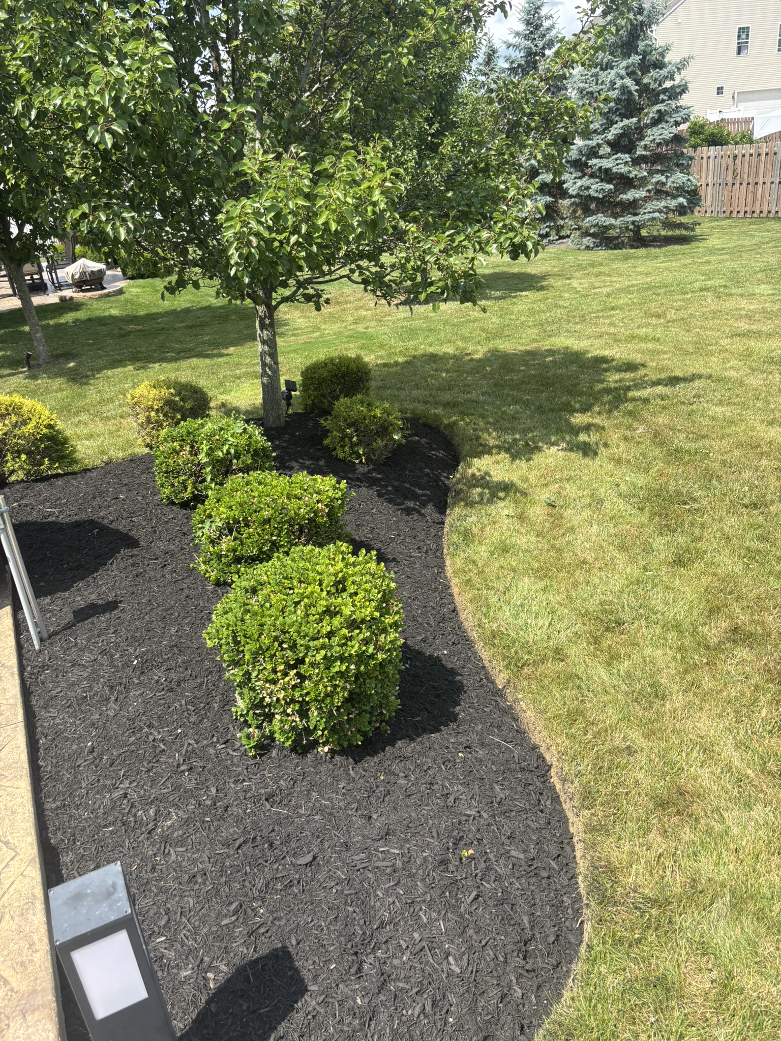 Newly mulched bed with young tree and shrubs on a green lawn