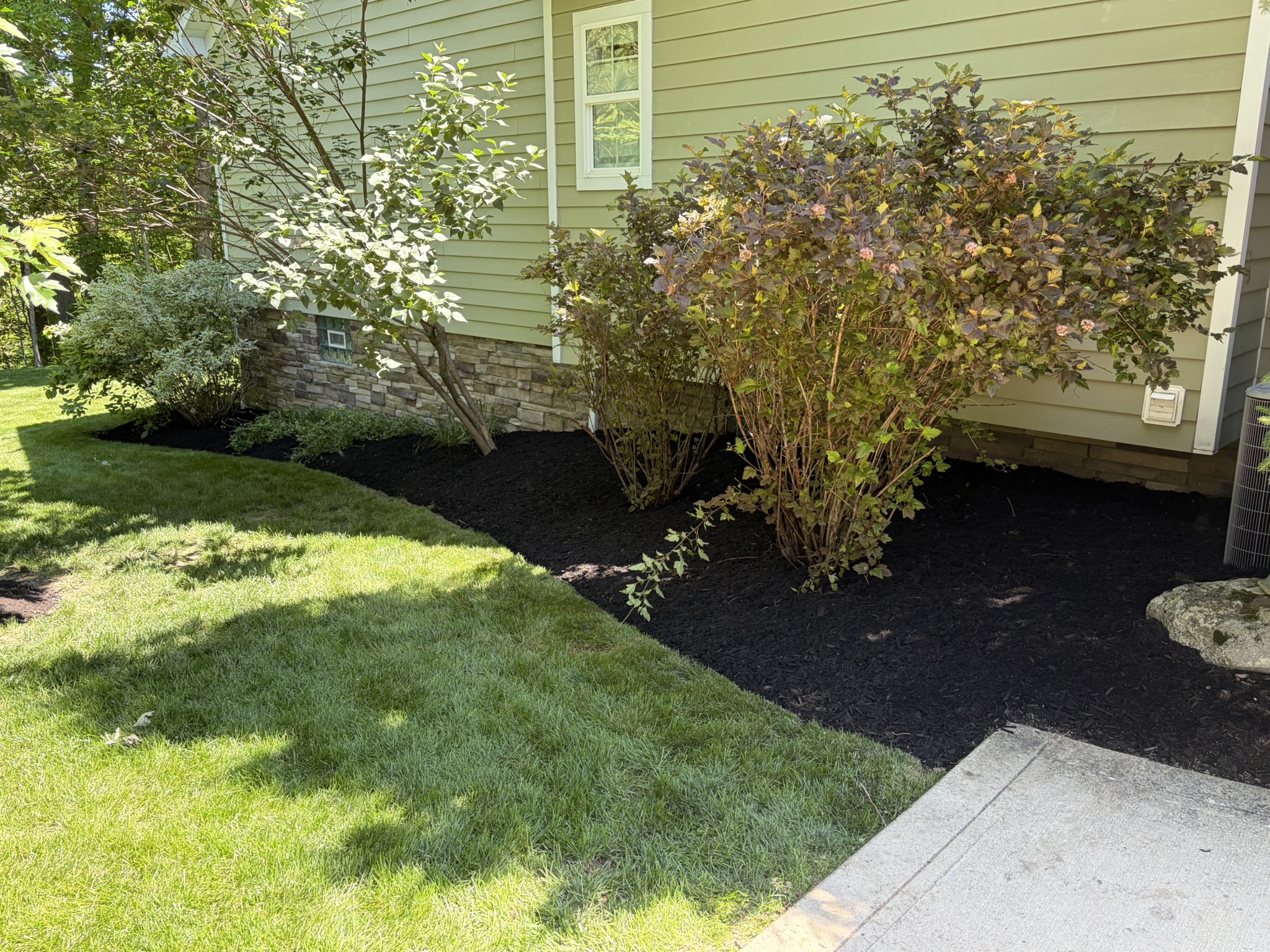 Mulched shrub bed along the side of a home