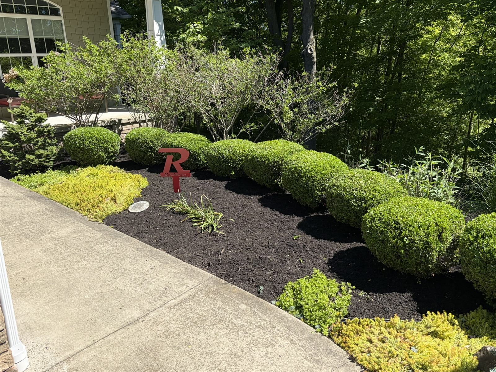 Trimmed shrubs and fresh mulch along a front walkway