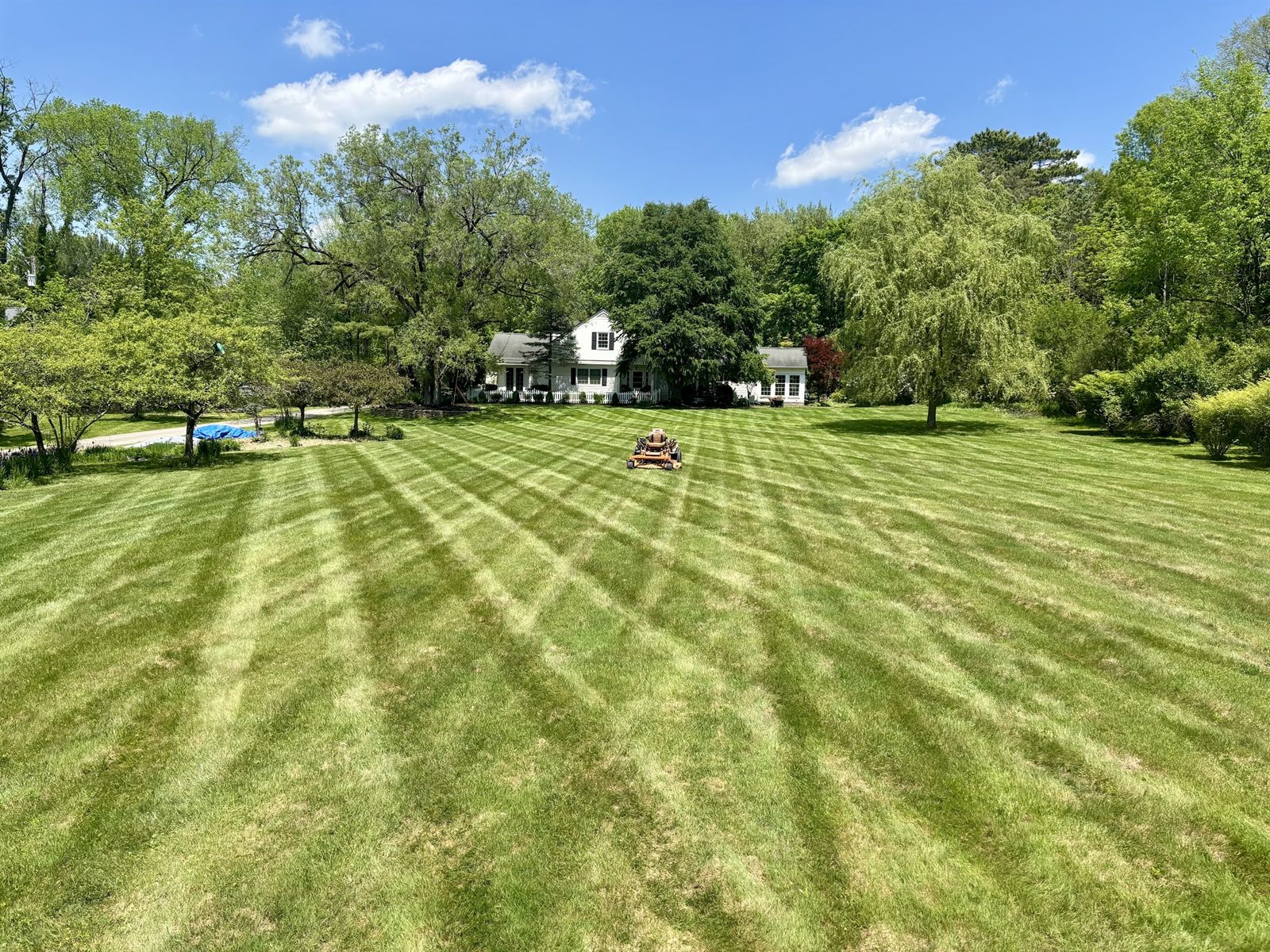 Wide back lawn with fresh mowing stripes under a blue sky
