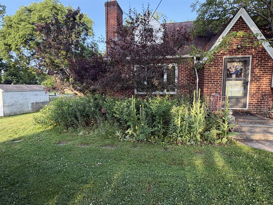 Before: tall weeds and overgrowth filling the front bed of a brick house