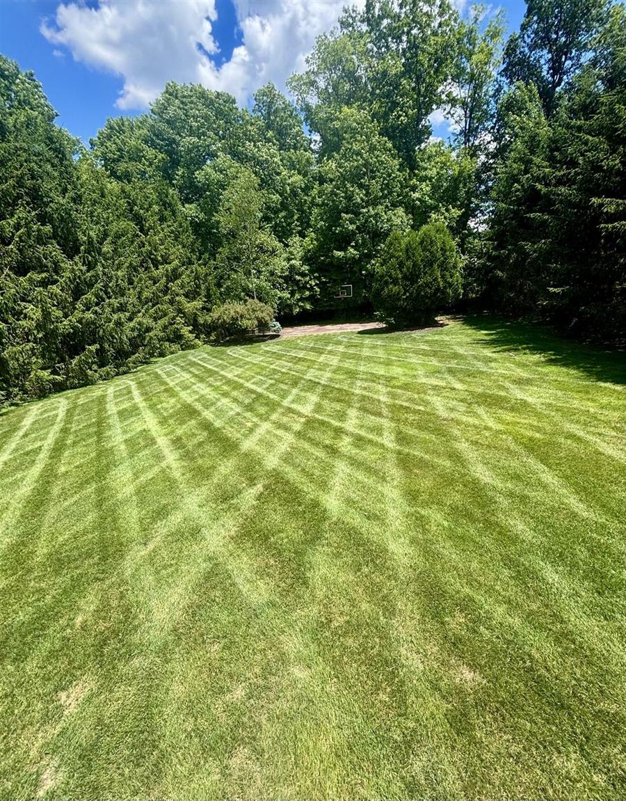 Big back lawn mowed in sharp crisscross stripes