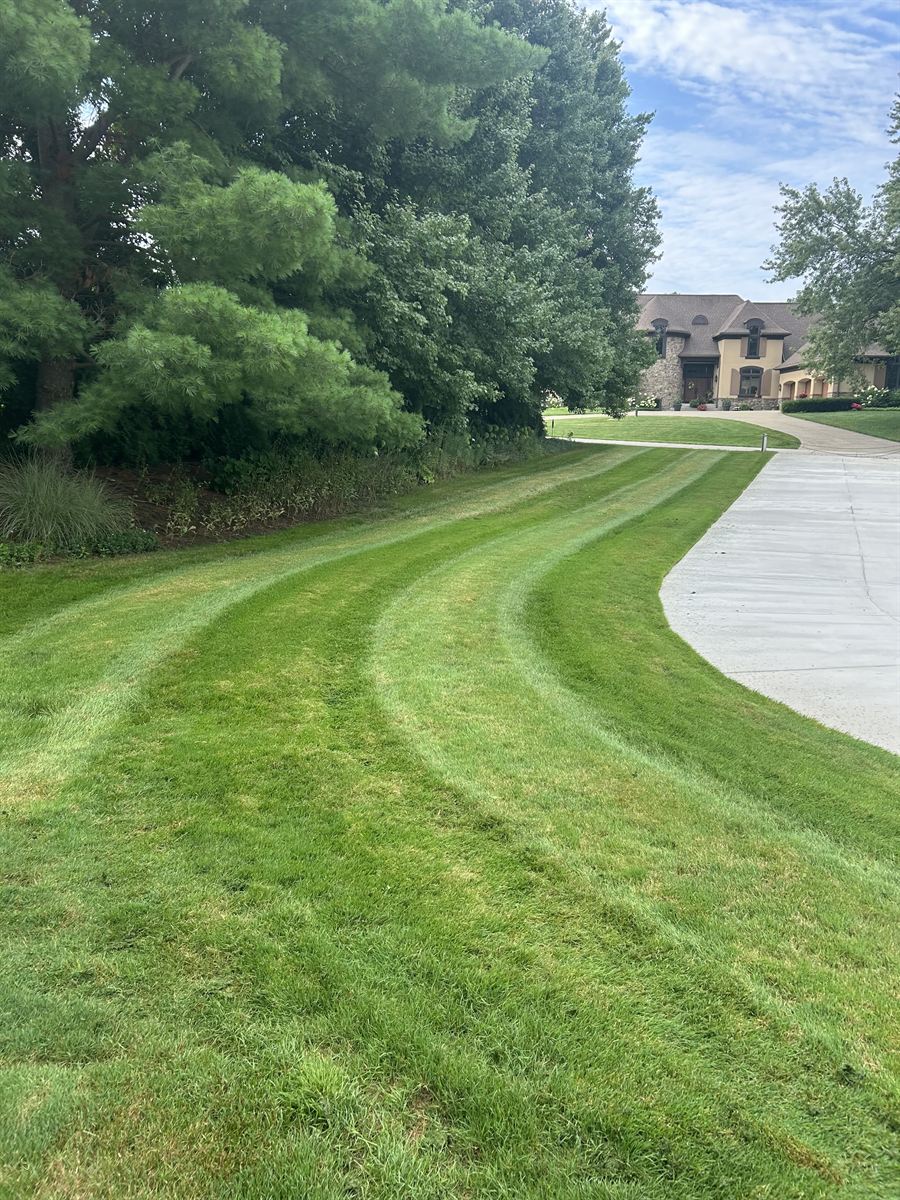Mowing stripes curving along a front walk