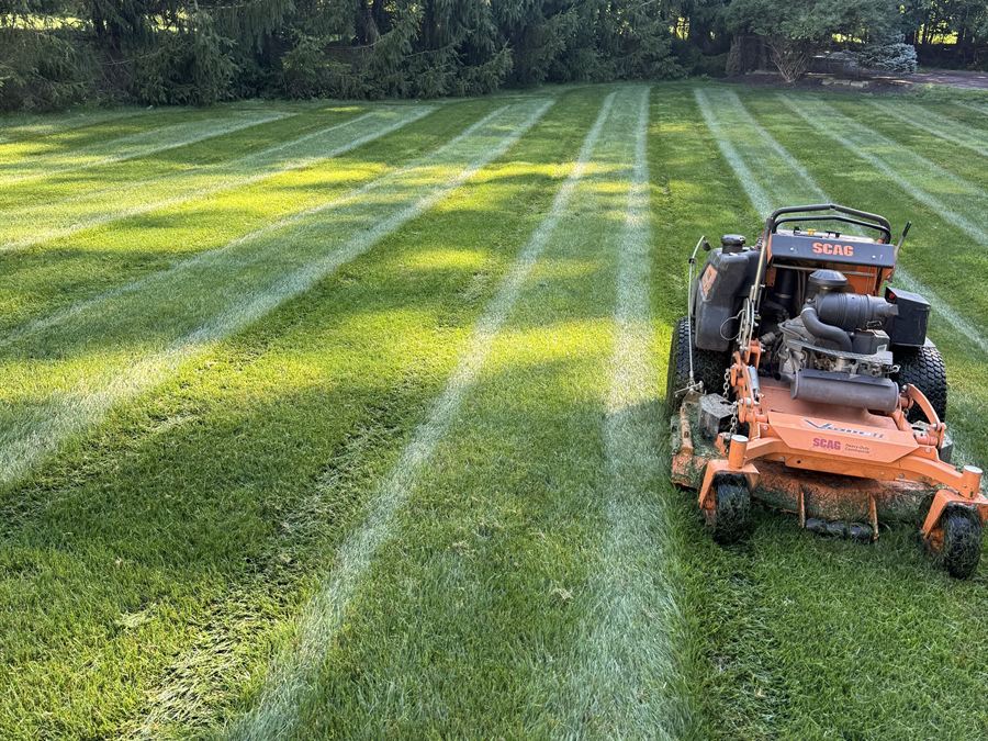 Orange stand-on mower parked on a freshly striped lawn