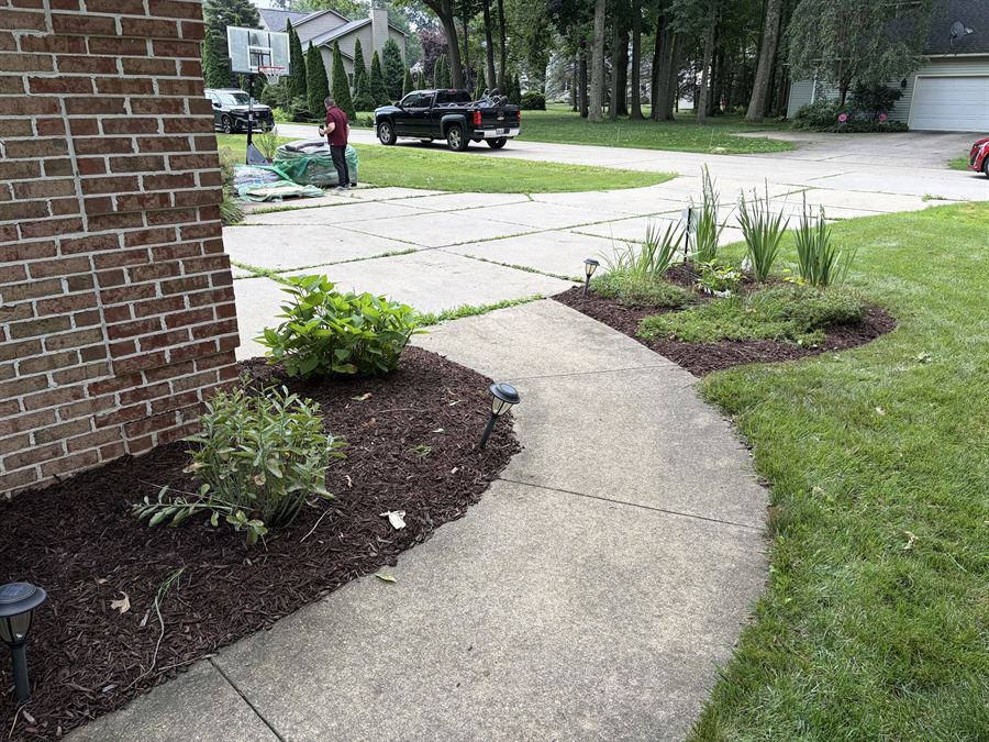 Curved walkway lined with fresh mulch beds and shrubs