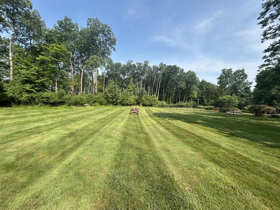 Thick green lawn mowed in wide stripes, with trees behind