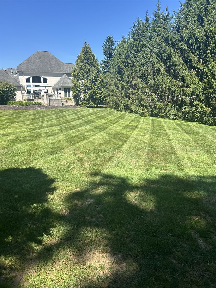 Thick striped lawn in front of a big white house